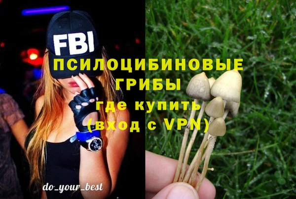 гидропоника Армянск