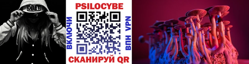 Галлюциногенные грибы Magic Shrooms  Купить где  Данков 