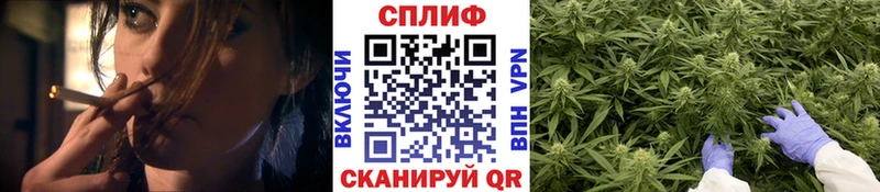 Купить закладки  Данков  Бошки Шишки гибрид 